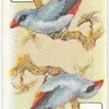 Birds of Brilliant Plummage.