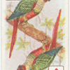 Birds of Brilliant Plummage.