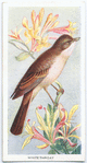 Whitethroat.
