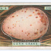Corn-crake's egg.