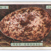 Red grouse's egg.