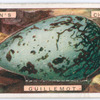 Guillemot's egg.