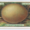 Nighingale's egg.