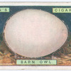 Barn owl's egg.