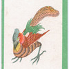 Birds of the East.