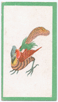Birds of the East.
