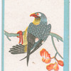 Birds of the East.