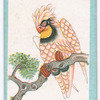 Birds of the East.