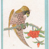 Birds of the East.