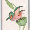 Birds of the East.