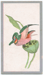 Birds of the East.