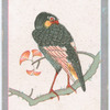 Birds of the East.
