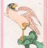 Birds of the East.