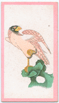 Birds of the East.