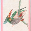 Birds of the East.