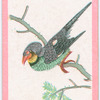 Birds of the East.