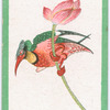 Birds of the East.