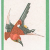 Birds of the East.