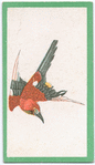 Birds of the East.