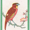 Birds of the East.