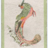 Birds of the East.