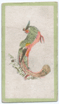 Birds of the East.