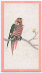 Birds of the East.