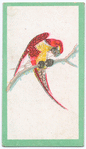 Birds of the East.
