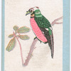 Birds of the East.