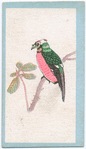 Birds of the East.