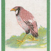 Birds of the East.