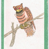 Birds of the East.
