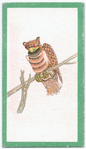 Birds of the East.