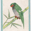 Birds of the East.