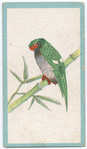 Birds of the East.