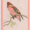 Birds of the East.