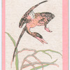 Birds of the East.