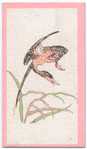 Birds of the East.