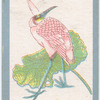 Birds of the East.