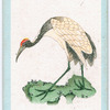 Birds of the East.