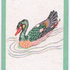 Birds of the East.