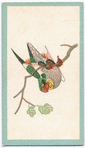 Birds of the East.