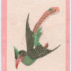 Birds of the East.
