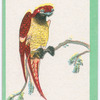 Birds of the East.