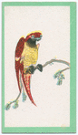 Birds of the East.
