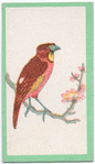 Birds of the East.