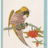 Birds of the East.