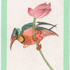 Birds of the East.