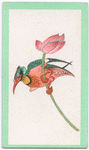 Birds of the East.