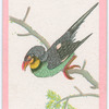 Birds of the East.